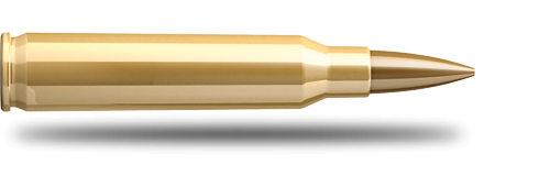 Náboj SB 223 Rem. 1380 HPBT 4,5g 